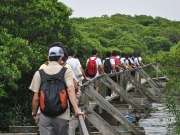 在邊境禁區的浮橋上，向后海灣泥灘進發 