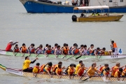 bena8683